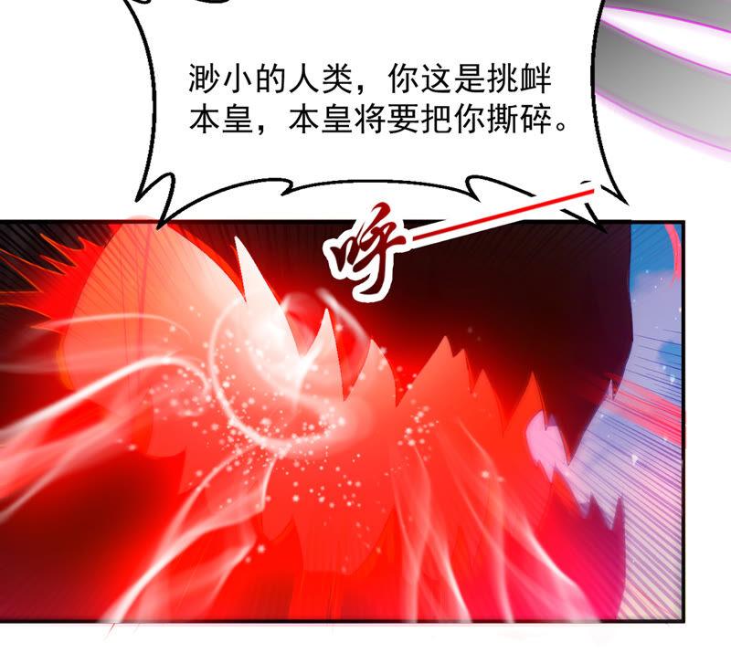 吞噬永恒韩漫全集-第149话 成千上万法龙草无删减无遮挡章节图片 