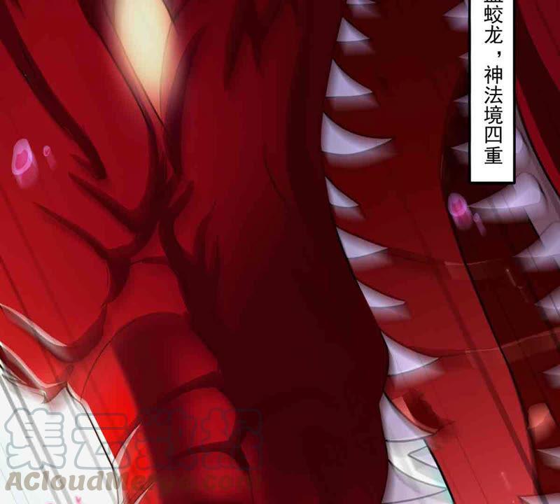 吞噬永恒韩漫全集-第194话 你是何人？无删减无遮挡章节图片 