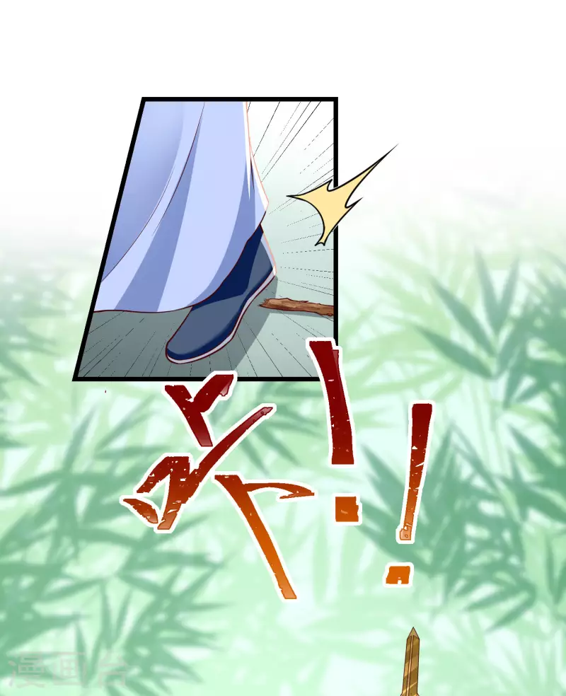 王妃是朵白莲花韩漫全集-第64话 刺客是皇帝的人？！无删减无遮挡章节图片 