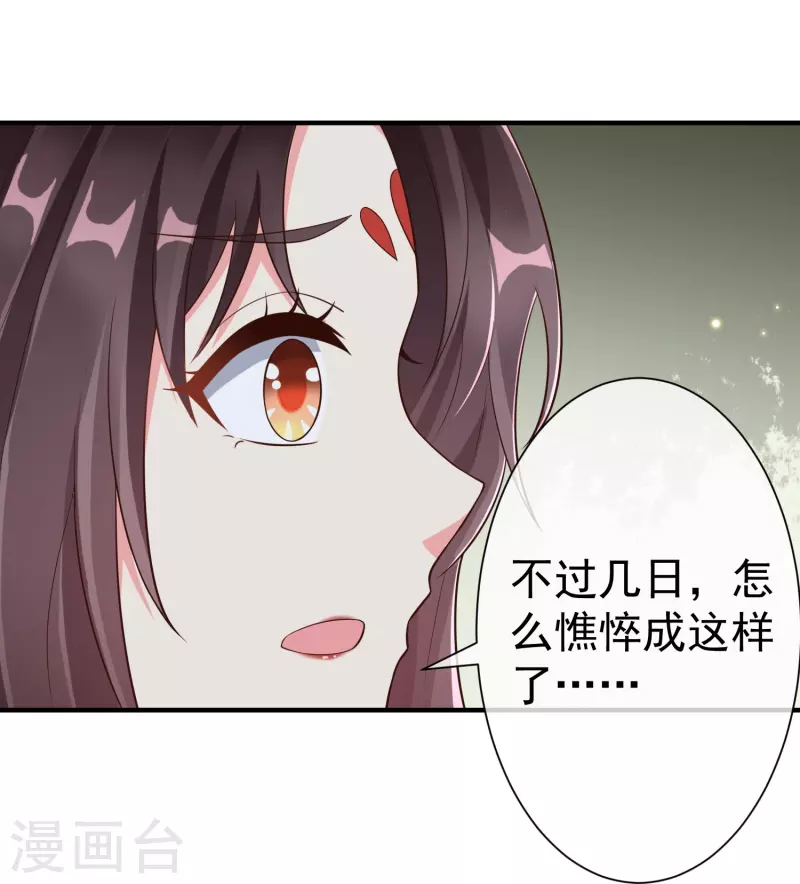 王妃是朵白莲花韩漫全集-第85话 事成了！无删减无遮挡章节图片 