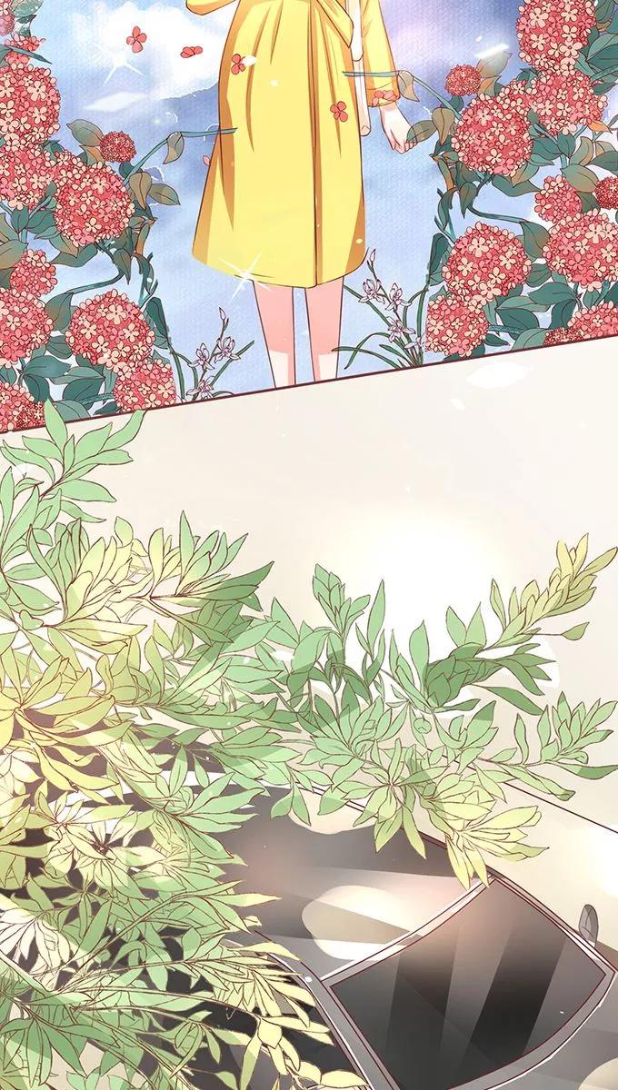 王爵的私有宝贝韩漫全集-第74话无删减无遮挡章节图片 