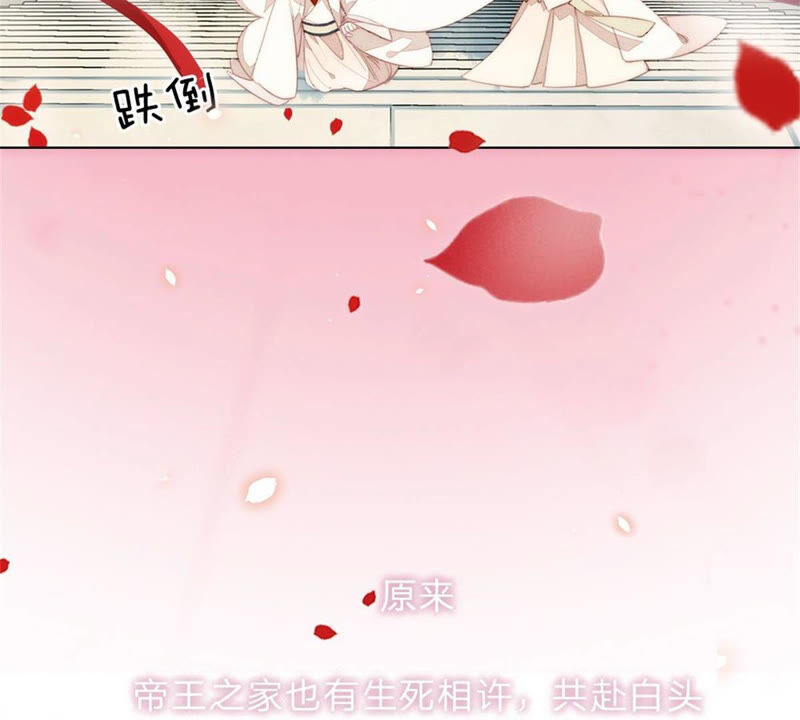 王牌校草：爱的三分线韩漫全集-一念合欢为君开推荐无删减无遮挡章节图片 