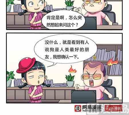 网易每日轻松一刻韩漫全集-第246话无删减无遮挡章节图片 