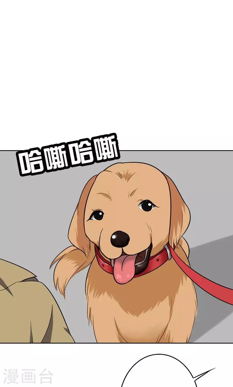 晚上才是女孩子韩漫全集-第42话 对不起，我说谎了无删减无遮挡章节图片 