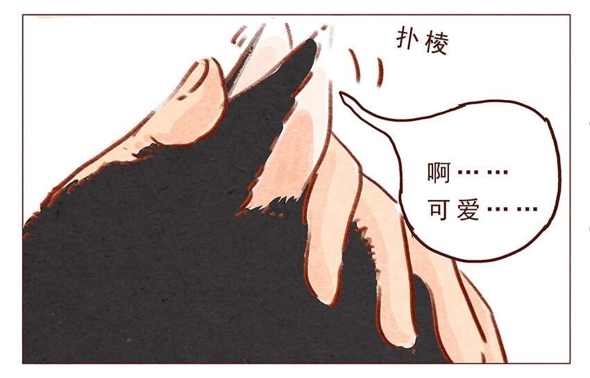 喂，看见耳朵啦韩漫全集-第2话 犯规的室友无删减无遮挡章节图片 