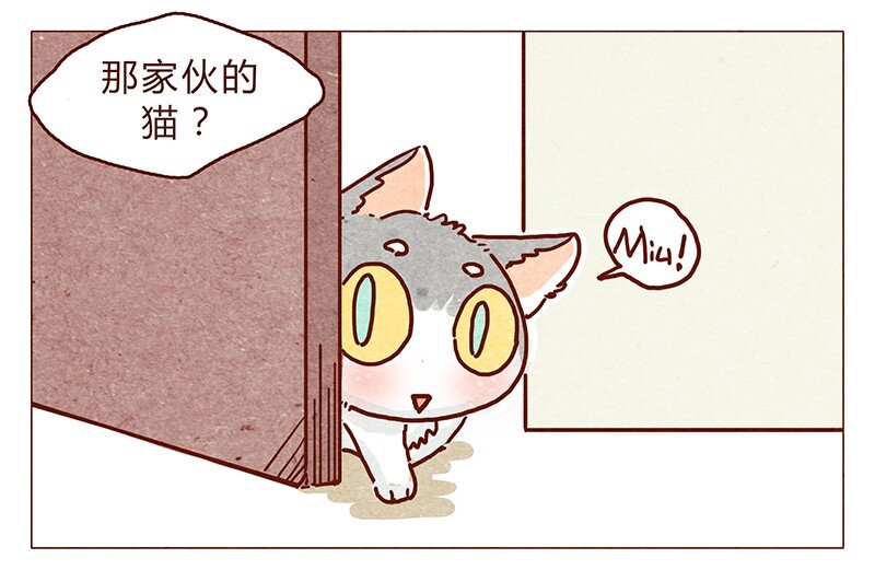 喂，看见耳朵啦韩漫全集-116话 区区人类竟敢威胁喵！！无删减无遮挡章节图片 