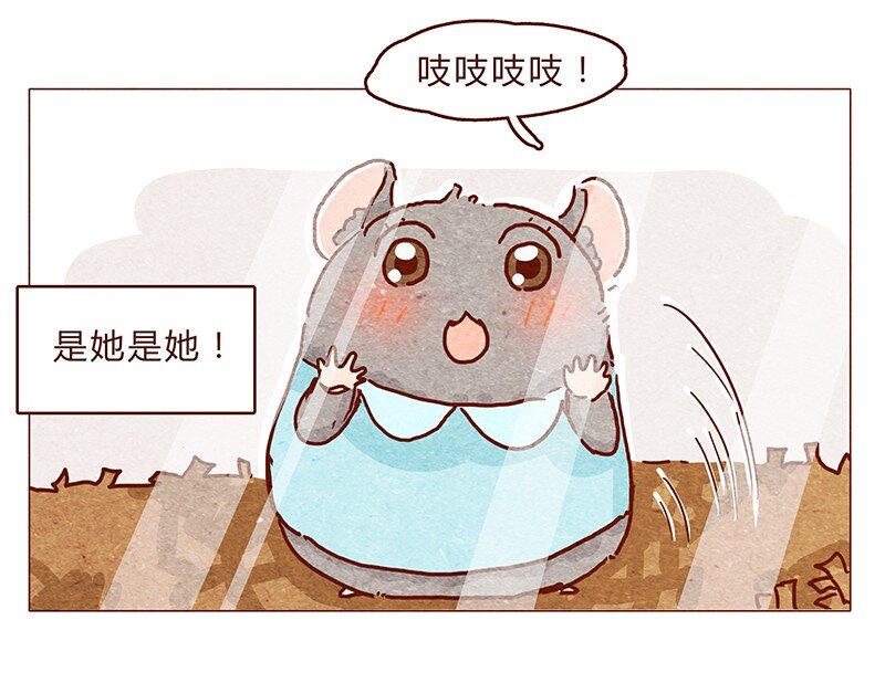 喂，看见耳朵啦韩漫全集-118话 我的信仰，我的梦想无删减无遮挡章节图片 
