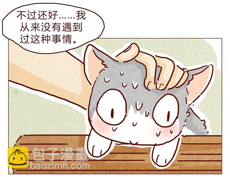 喂，看见耳朵啦韩漫全集-126话 不要怀疑自己的喵生无删减无遮挡章节图片 
