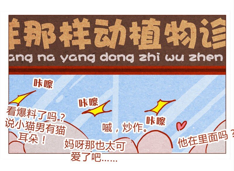 喂，看见耳朵啦韩漫全集-139话 铁打的粉丝流水的网红～无删减无遮挡章节图片 