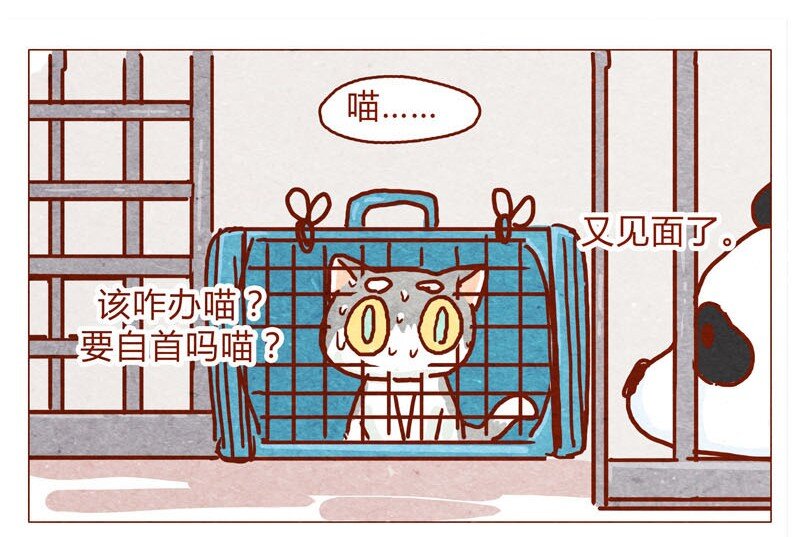 喂，看见耳朵啦韩漫全集-143话 仇人相见无删减无遮挡章节图片 