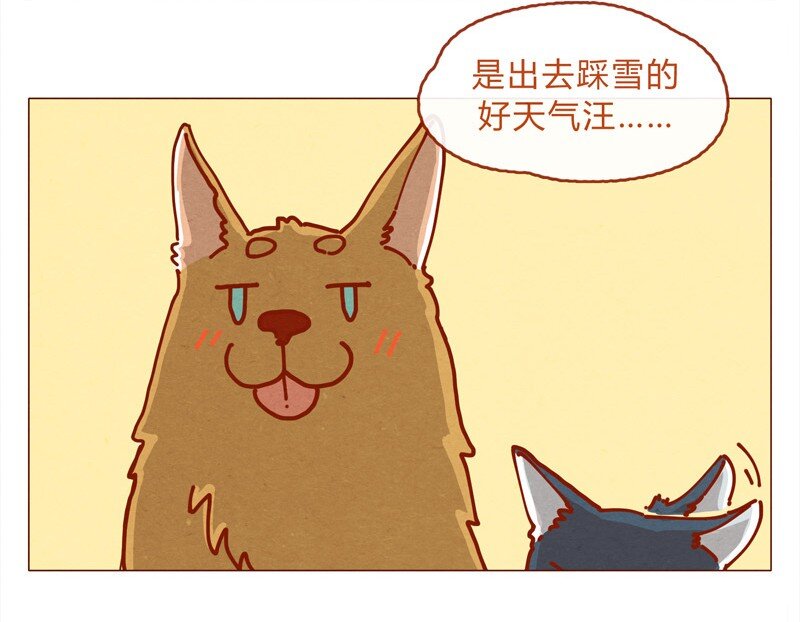 喂，看见耳朵啦韩漫全集-156话 踏雪寻梅好天气无删减无遮挡章节图片 