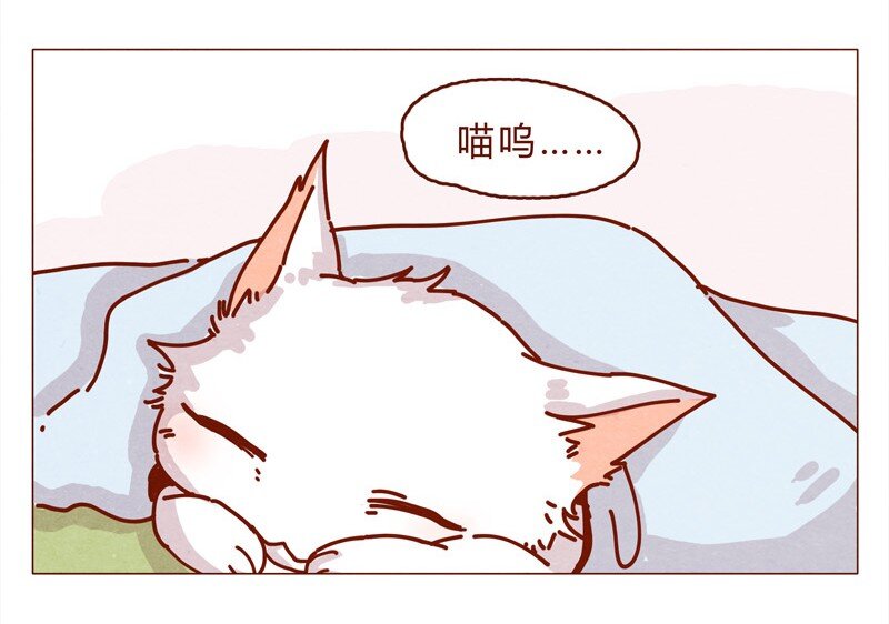 喂，看见耳朵啦韩漫全集-159话 立坠爱无删减无遮挡章节图片 