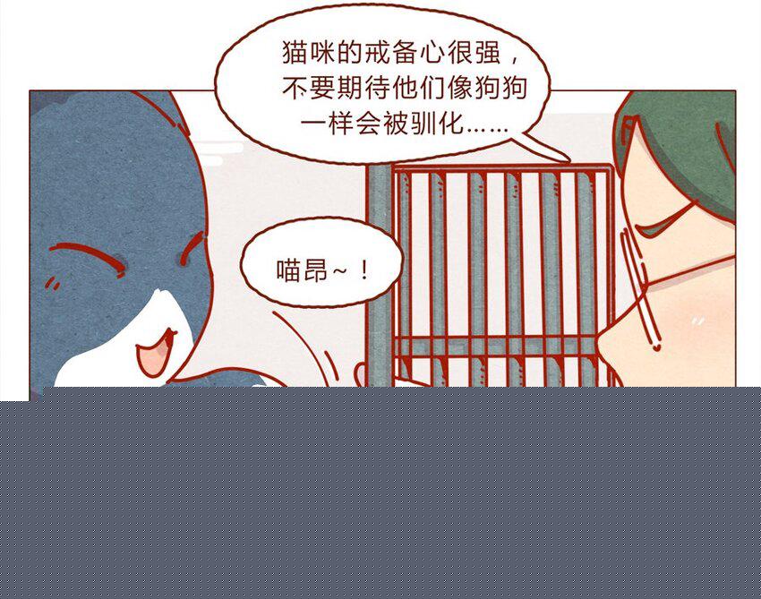 喂，看见耳朵啦韩漫全集-171话 别人家的喵！无删减无遮挡章节图片 