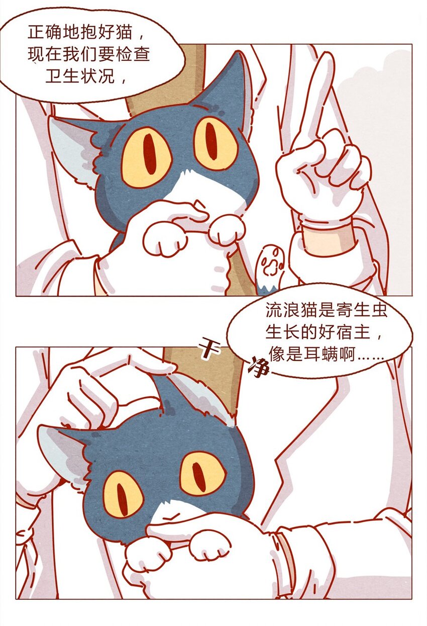 喂，看见耳朵啦韩漫全集-171话 别人家的喵！无删减无遮挡章节图片 