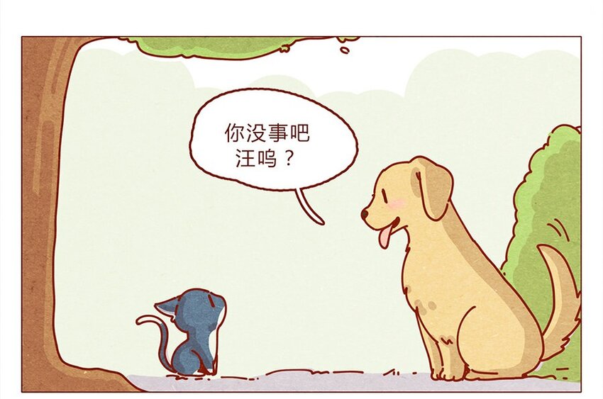 喂，看见耳朵啦韩漫全集-172话 汪来喵去无删减无遮挡章节图片 