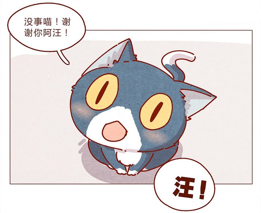 喂，看见耳朵啦韩漫全集-172话 汪来喵去无删减无遮挡章节图片 
