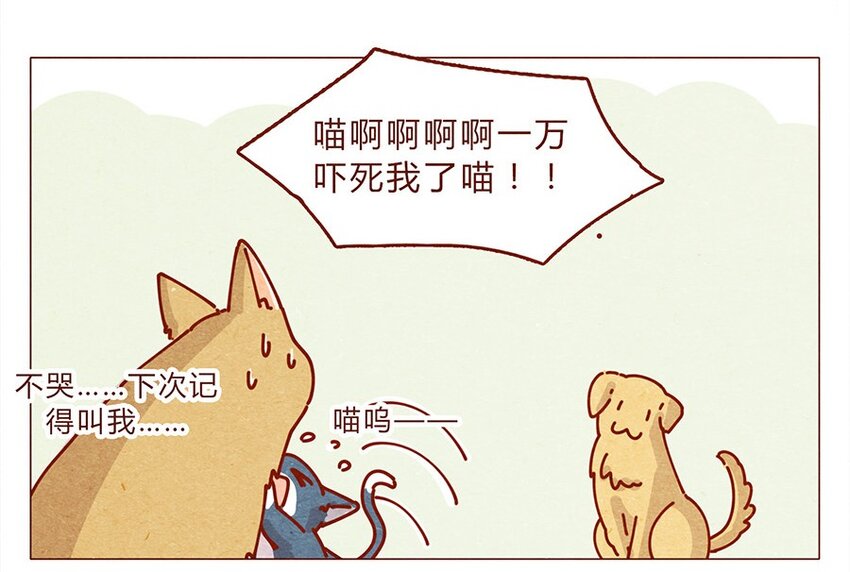 喂，看见耳朵啦韩漫全集-172话 汪来喵去无删减无遮挡章节图片 