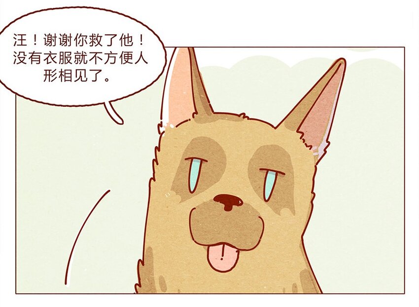 喂，看见耳朵啦韩漫全集-172话 汪来喵去无删减无遮挡章节图片 