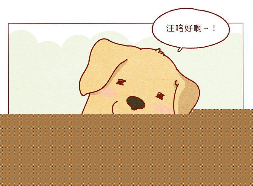 喂，看见耳朵啦韩漫全集-172话 汪来喵去无删减无遮挡章节图片 