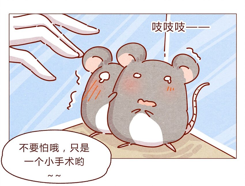 喂，看见耳朵啦韩漫全集-174话 那……谁啊？无删减无遮挡章节图片 