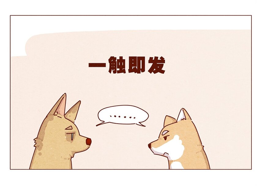 喂，看见耳朵啦韩漫全集-187话 疯了疯了作者疯了无删减无遮挡章节图片 