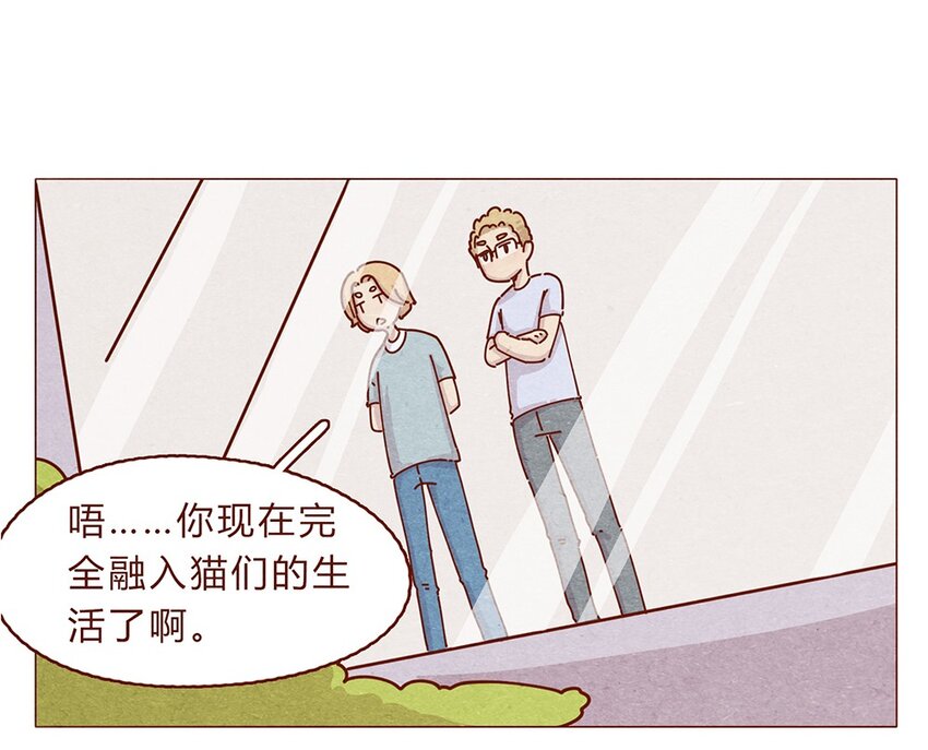 喂，看见耳朵啦韩漫全集-188话 我爱你，我的家，我的天堂！无删减无遮挡章节图片 