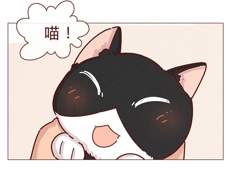喂，看见耳朵啦韩漫全集-196话 你有别的猫！无删减无遮挡章节图片 