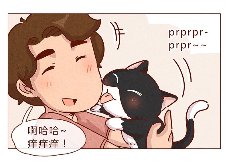 喂，看见耳朵啦韩漫全集-196话 你有别的猫！无删减无遮挡章节图片 