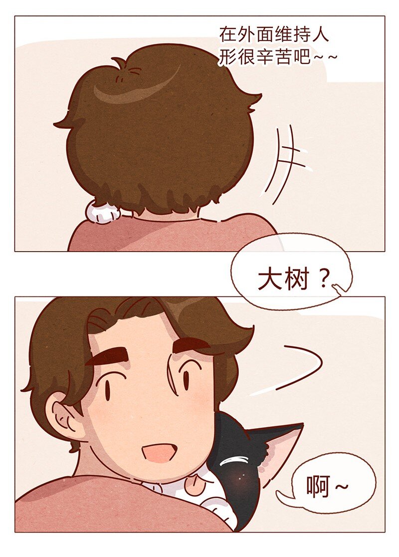 喂，看见耳朵啦韩漫全集-196话 你有别的猫！无删减无遮挡章节图片 
