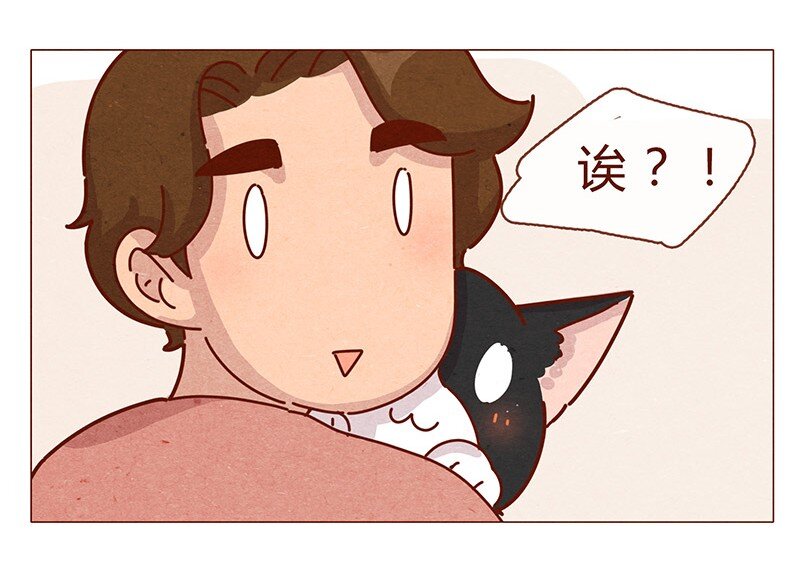 喂，看见耳朵啦韩漫全集-196话 你有别的猫！无删减无遮挡章节图片 