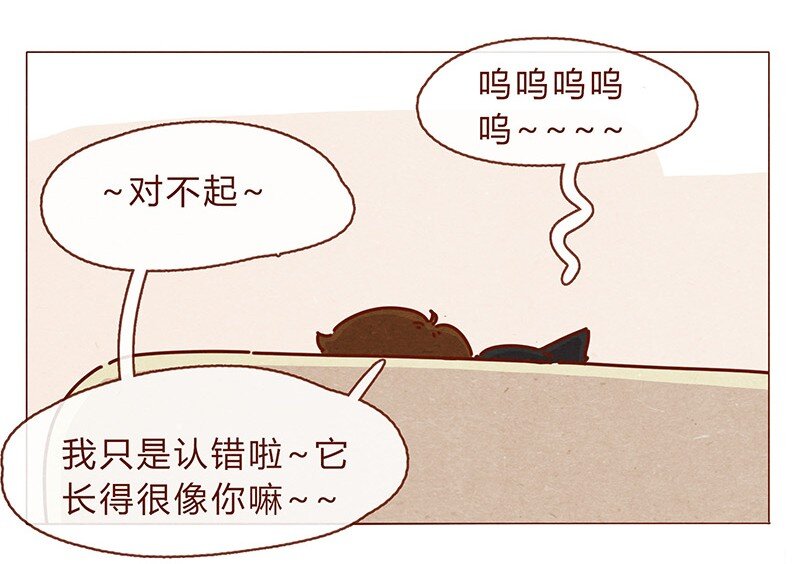 喂，看见耳朵啦韩漫全集-196话 你有别的猫！无删减无遮挡章节图片 
