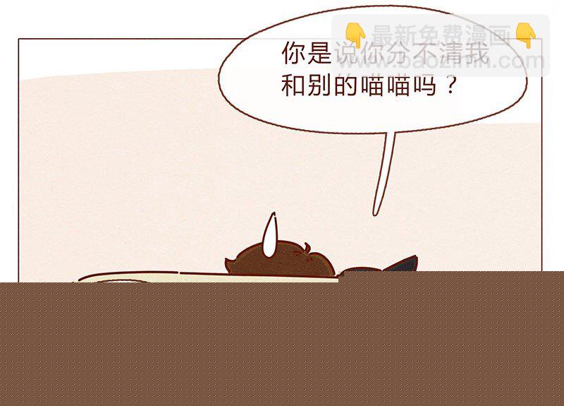 喂，看见耳朵啦韩漫全集-196话 你有别的猫！无删减无遮挡章节图片 