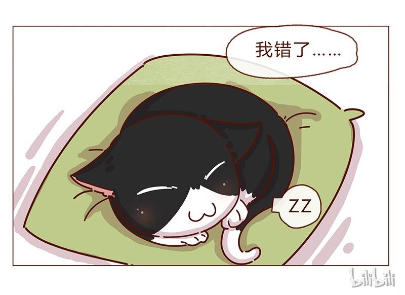 喂，看见耳朵啦韩漫全集-196话 你有别的猫！无删减无遮挡章节图片 
