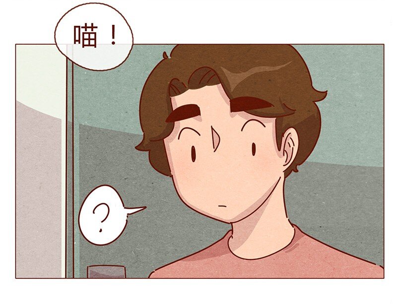 喂，看见耳朵啦韩漫全集-196话 你有别的猫！无删减无遮挡章节图片 