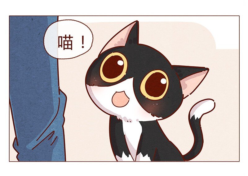 喂，看见耳朵啦韩漫全集-196话 你有别的猫！无删减无遮挡章节图片 