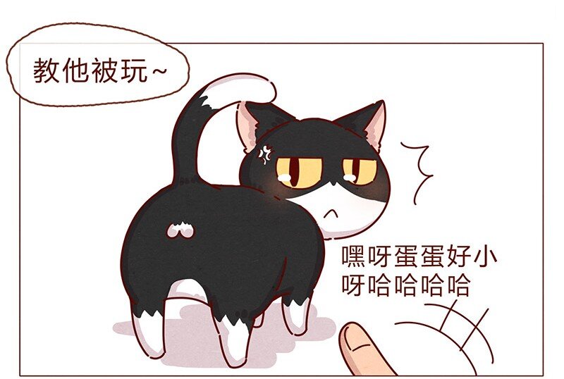喂，看见耳朵啦韩漫全集-198话 吸猫不如吸淼无删减无遮挡章节图片 