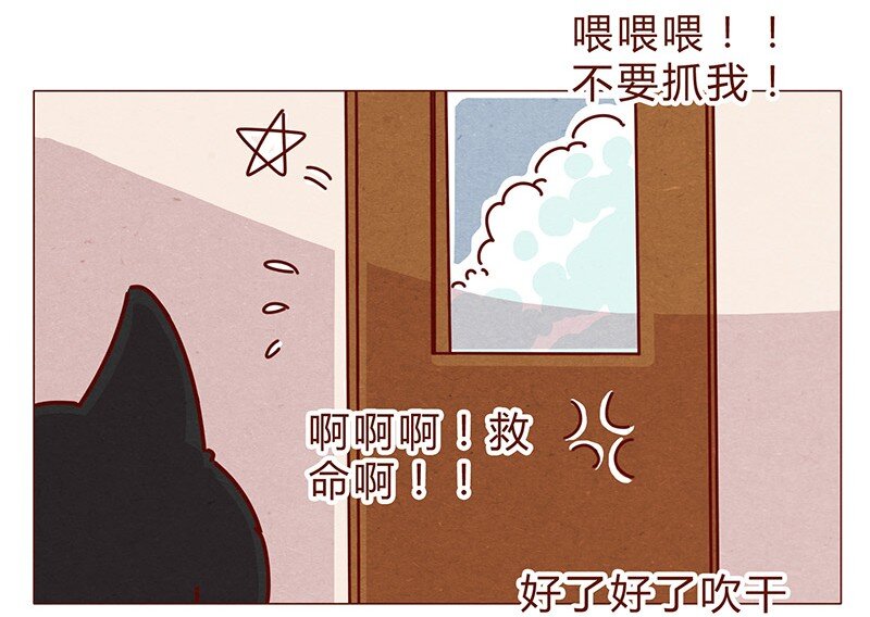 喂，看见耳朵啦韩漫全集-198话 吸猫不如吸淼无删减无遮挡章节图片 