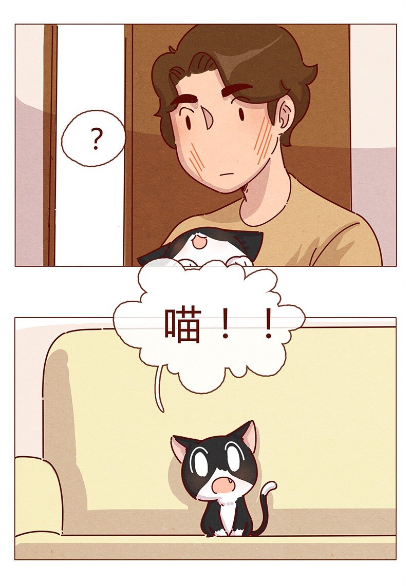 喂，看见耳朵啦韩漫全集-198话 吸猫不如吸淼无删减无遮挡章节图片 