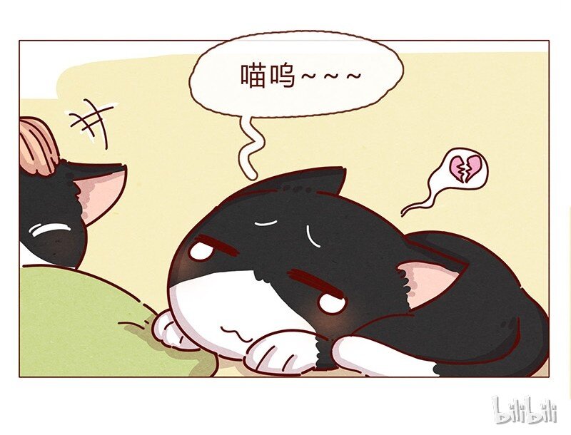 喂，看见耳朵啦韩漫全集-198话 吸猫不如吸淼无删减无遮挡章节图片 