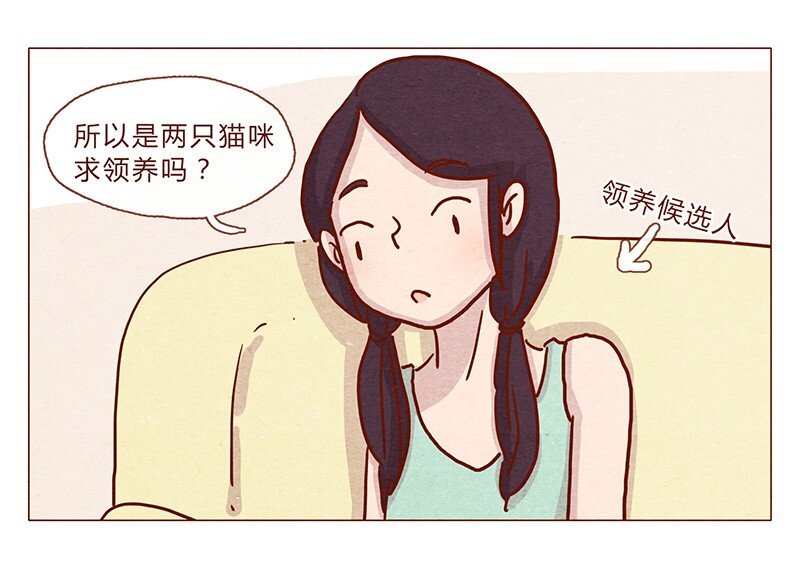 喂，看见耳朵啦韩漫全集-201话 领养比买难！无删减无遮挡章节图片 