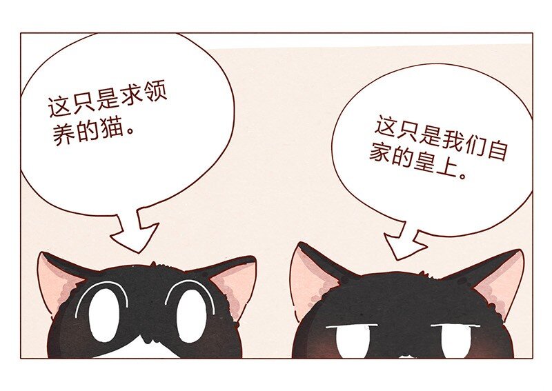 喂，看见耳朵啦韩漫全集-201话 领养比买难！无删减无遮挡章节图片 