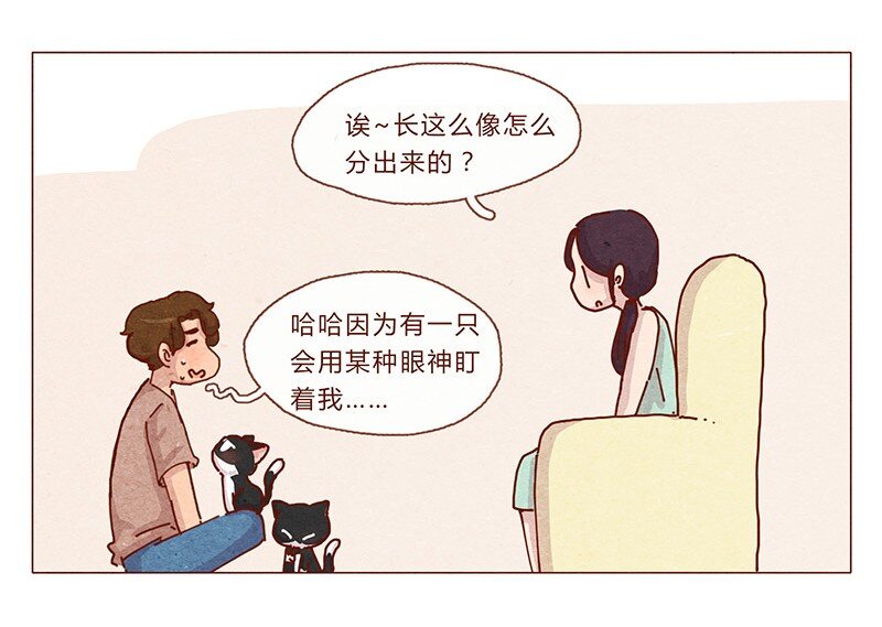 喂，看见耳朵啦韩漫全集-201话 领养比买难！无删减无遮挡章节图片 