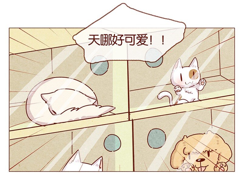 喂，看见耳朵啦韩漫全集-202话 领养日好玩吗？无删减无遮挡章节图片 
