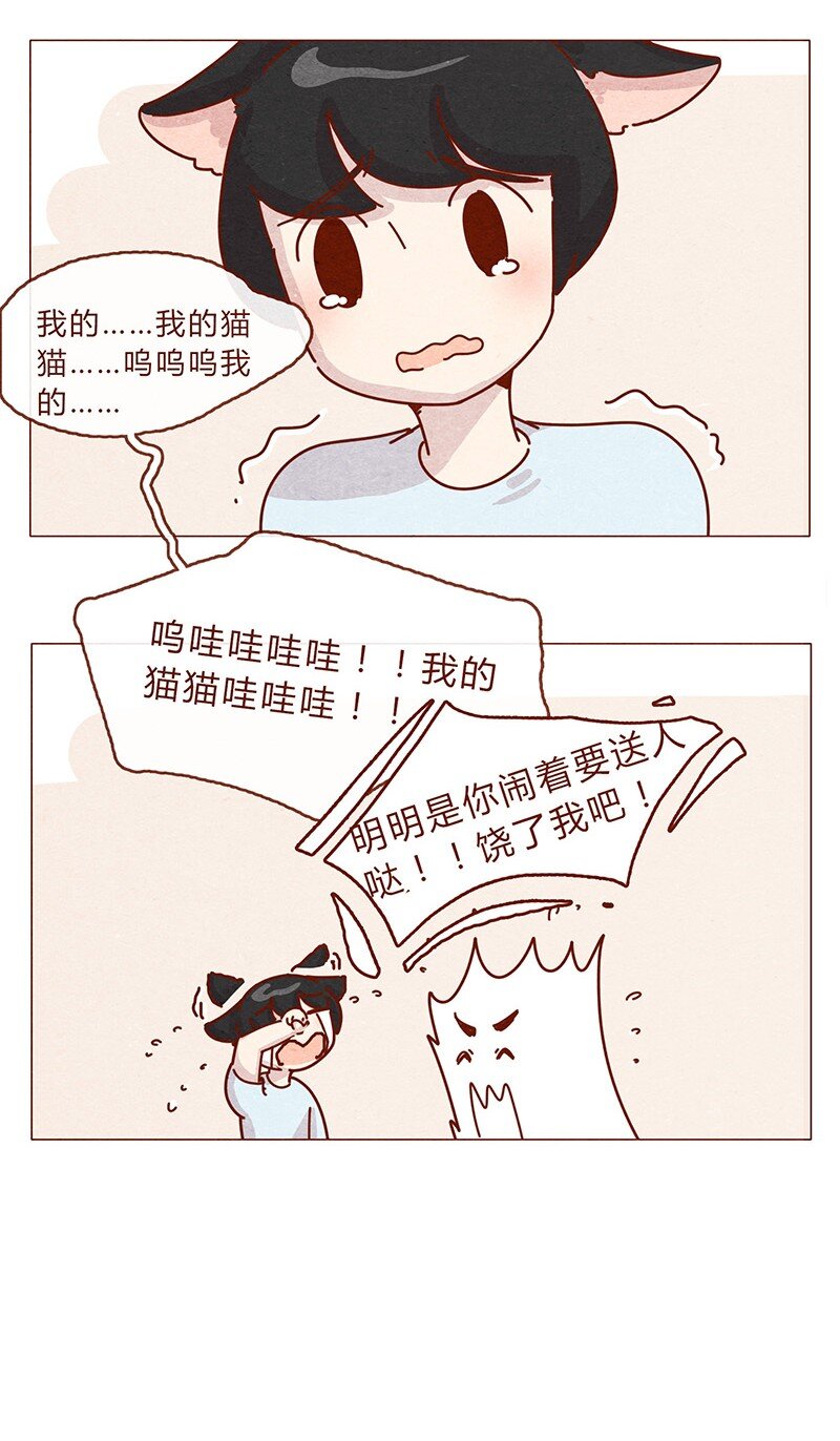喂，看见耳朵啦韩漫全集-203话 遇到命中注定的猫猫无删减无遮挡章节图片 