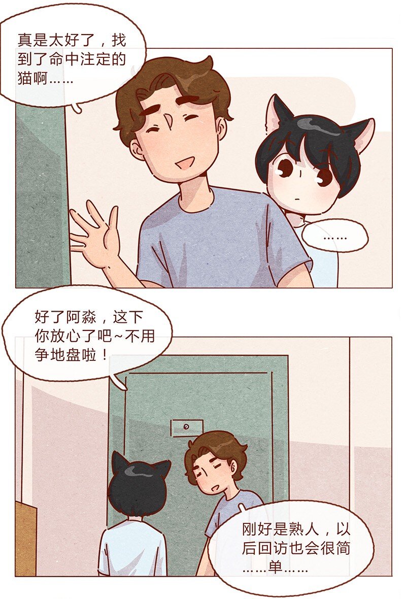 喂，看见耳朵啦韩漫全集-203话 遇到命中注定的猫猫无删减无遮挡章节图片 