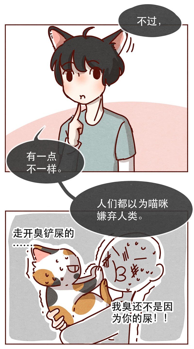 喂，看见耳朵啦韩漫全集-214话 你居然敢外遇！！无删减无遮挡章节图片 