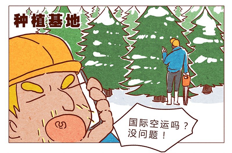 喂，看见耳朵啦韩漫全集-第62话 那个国家的习俗居然是！？无删减无遮挡章节图片 