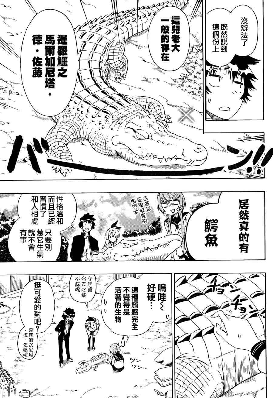 伪恋韩漫全集-第142话 动物无删减无遮挡章节图片 
