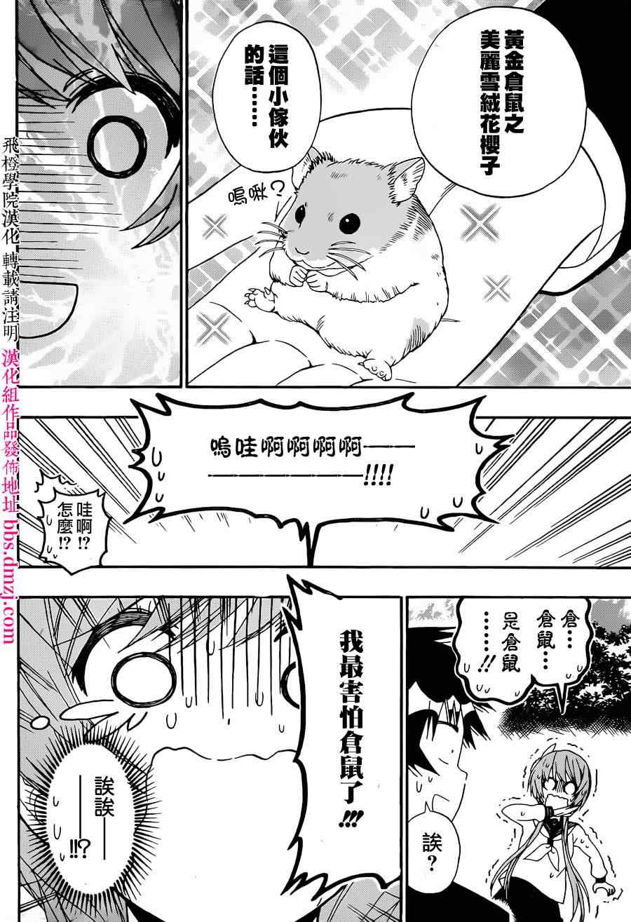 伪恋韩漫全集-第142话 动物无删减无遮挡章节图片 