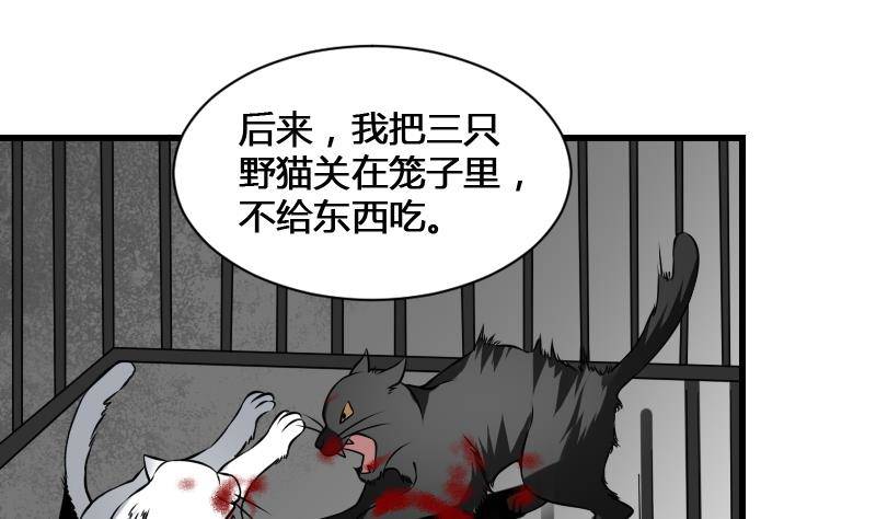 纹阴师韩漫全集-第12话 虐猫狂人无删减无遮挡章节图片 
